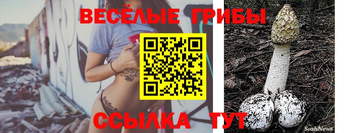Псилоцибиновые грибы GOLDEN TEACHER  Вход с VPN  Ахтубинск 